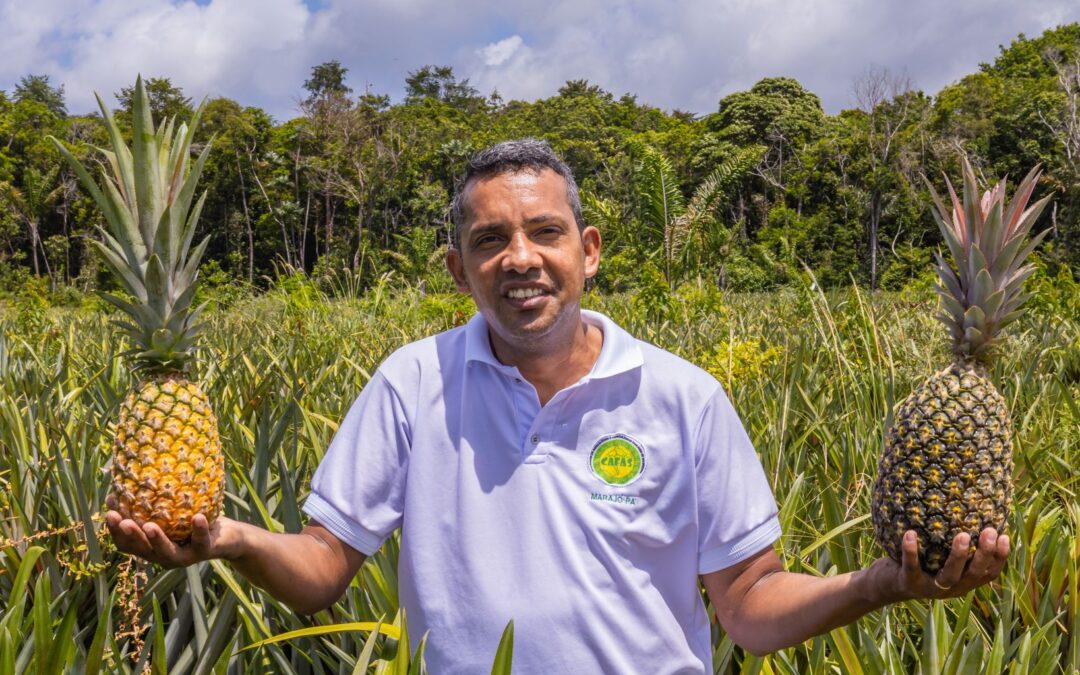 Agricultura Sustentável Impulsiona o Desenvolvimento  no Pará