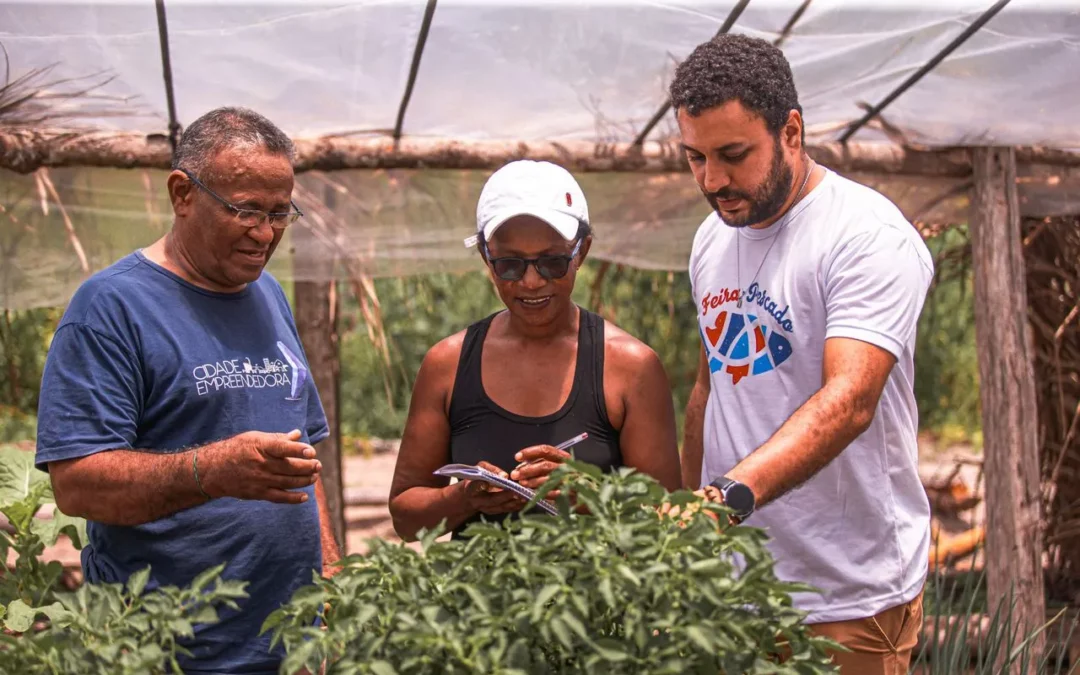 Os impactos da economia sustentável