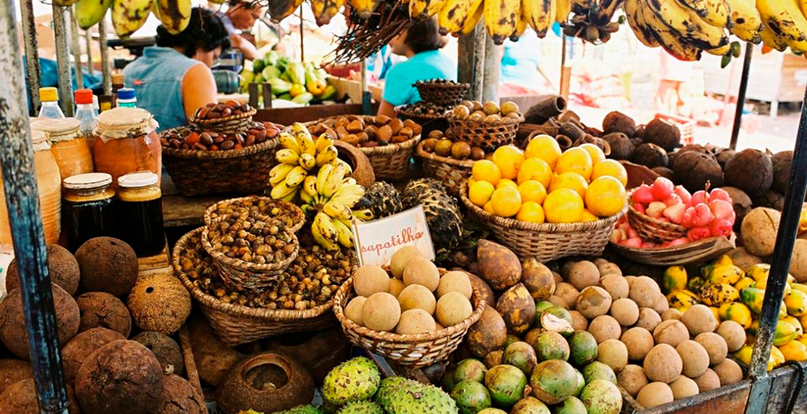 Desenvolvimento Sustentável na Amazônia