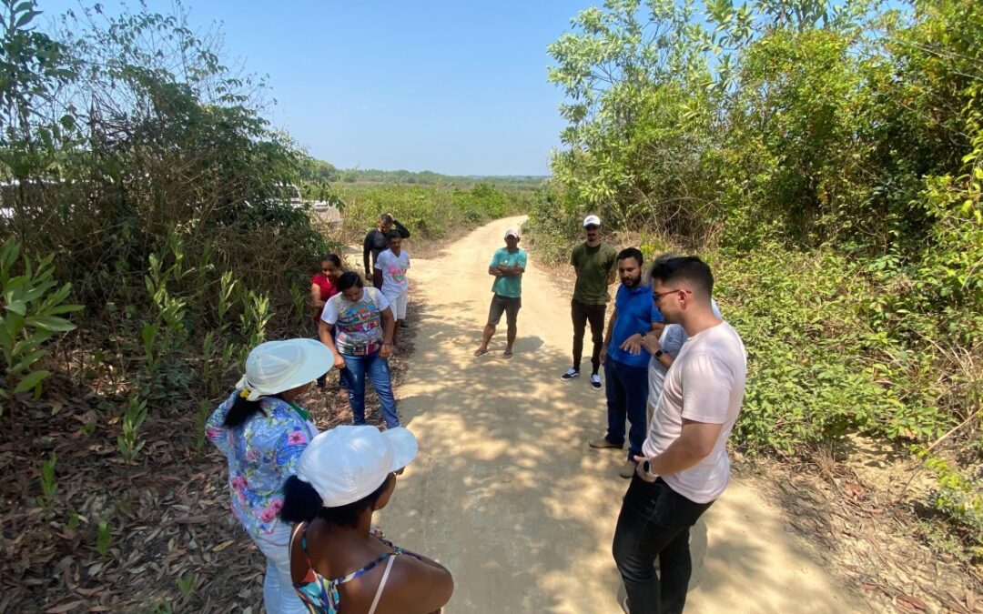 É possível fazer roça sem fogo? Entenda como a superação e sustentabilidade no campo podem transformar