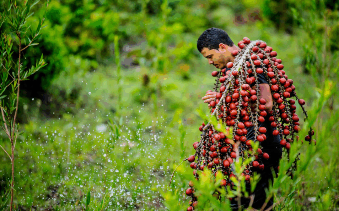 A riqueza e a biodiversidade da região do Capim – BR-010 no Pará